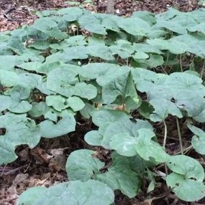 Meet your Posher, B!